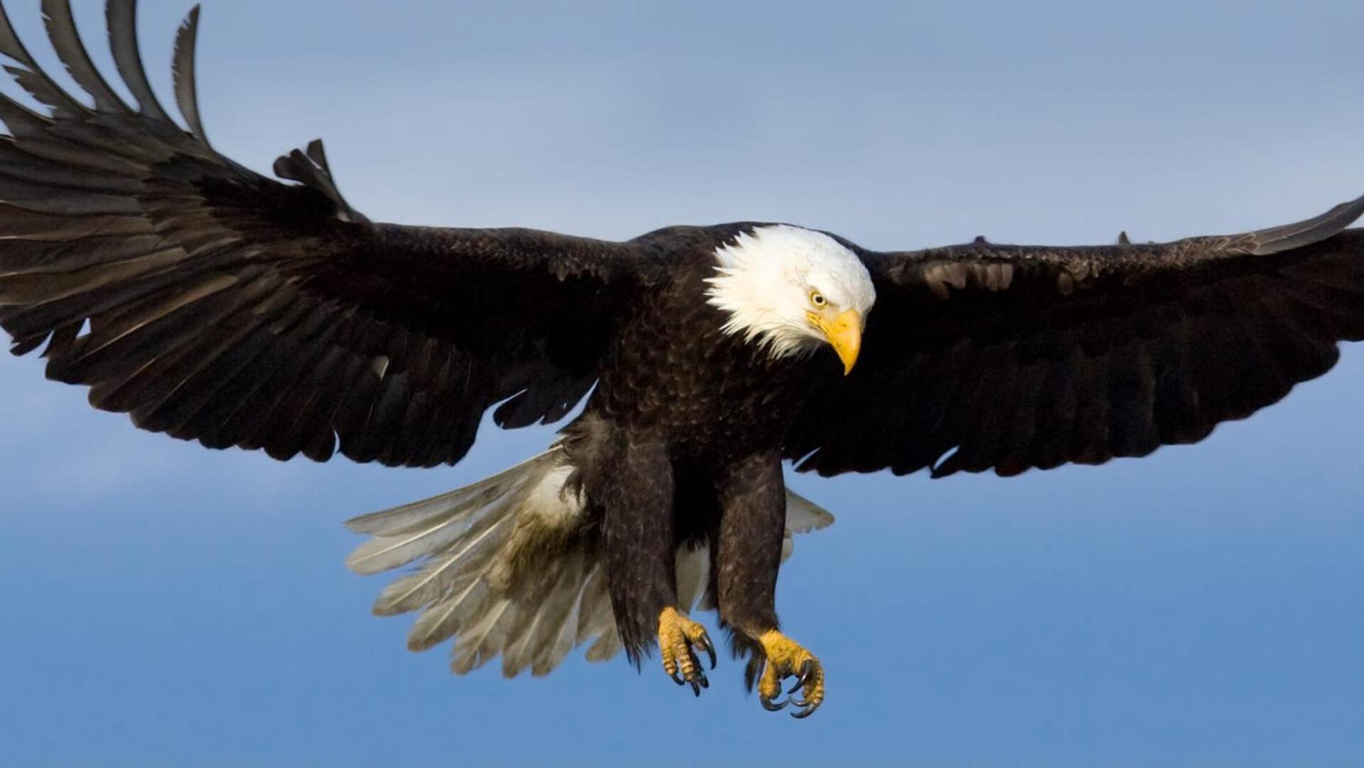 Eagles Land Διαμέρισμα Εδιμβούργο Εξωτερικό φωτογραφία